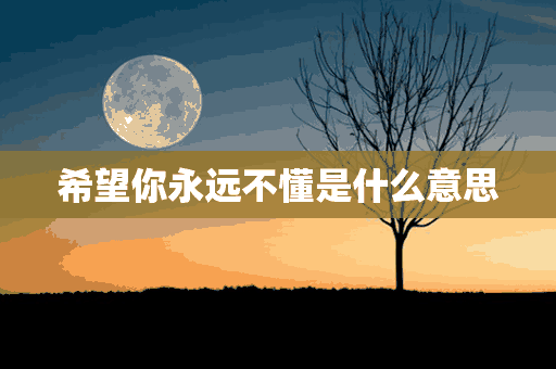 希望你永远不懂是什么意思